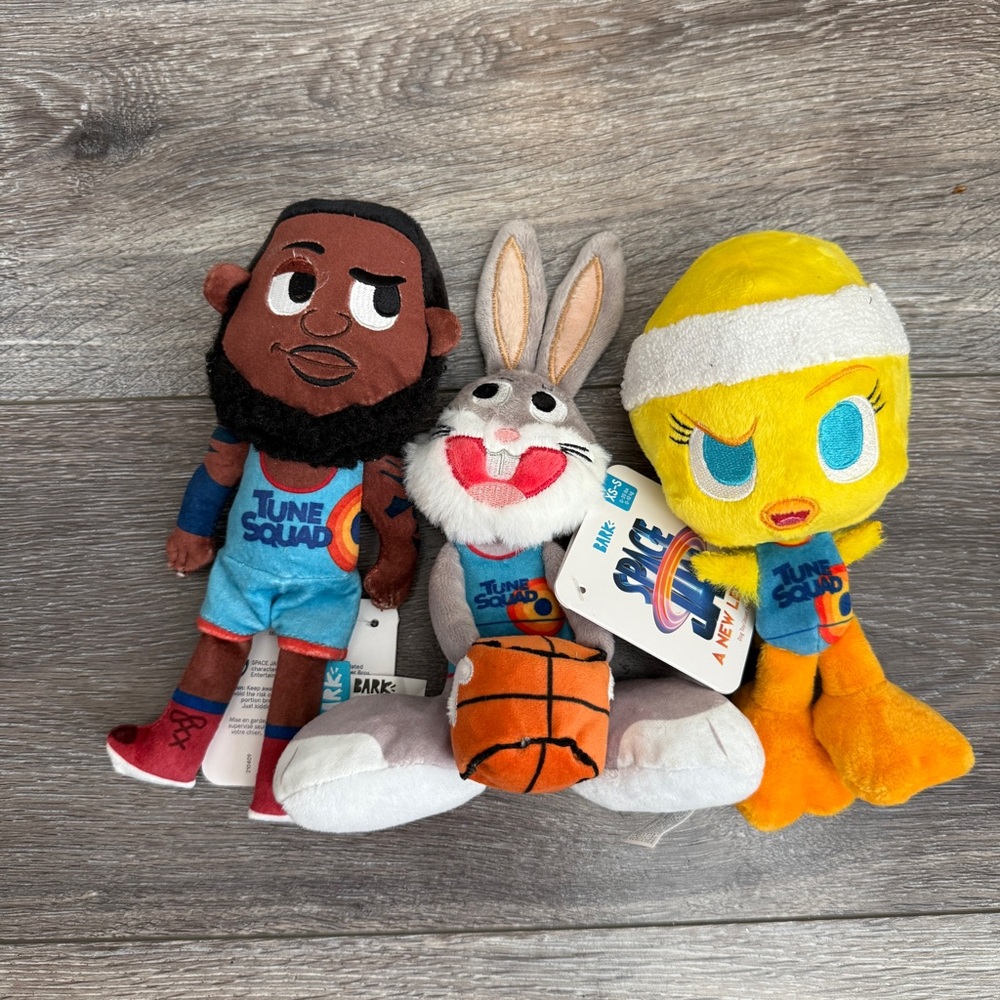 NEW Bark Box Space Jam LeBron Bugs Tweety